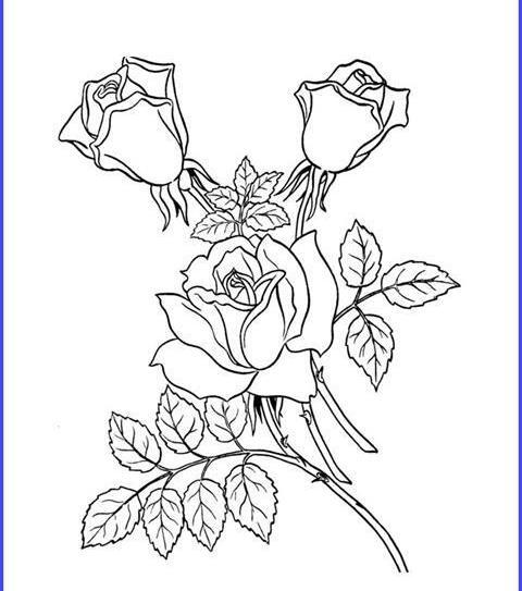 عکس نقاشی گل رز آسان