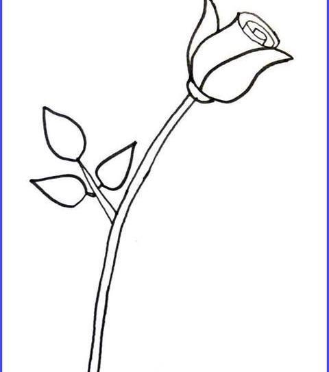 عکس نقاشی گل رز آسان