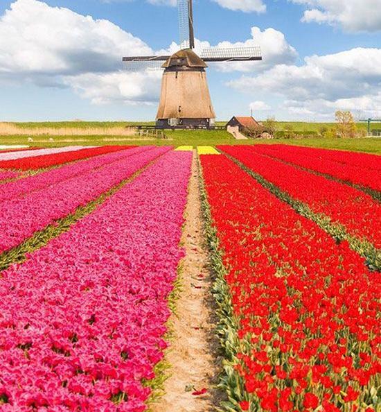 عکس طبیعت حیرت آور