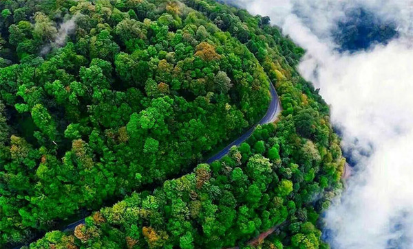عکس طبیعت حیرت آور