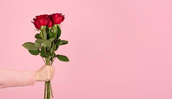 عکس گل رز برای بک گراند