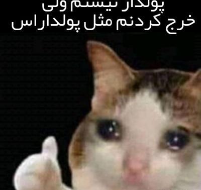 عکس حیوانات پولدار