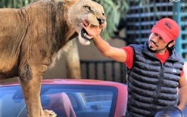 عکس حیوانات پولدار