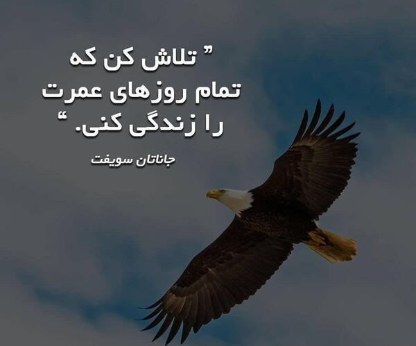 عکس در مورد زندگی