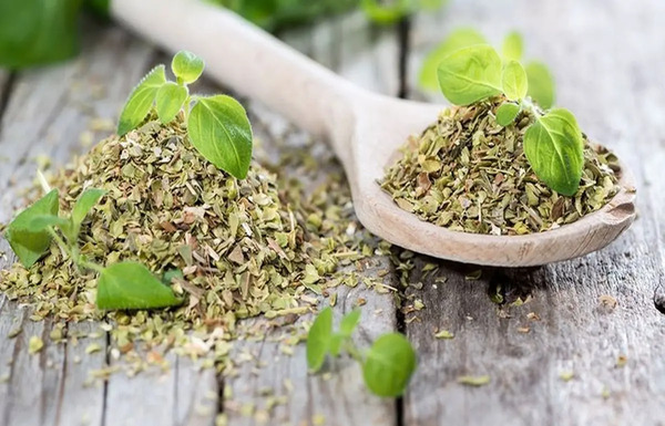 عکس دانه آویشن