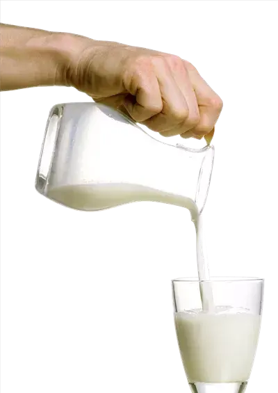 عکس شیر لیوانی