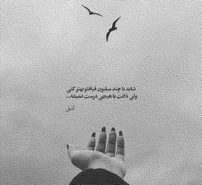 عکس ممد قلی م