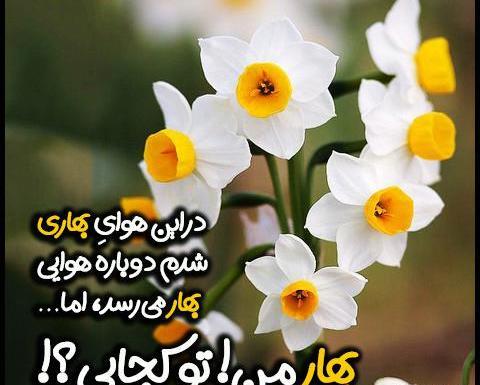 عکس نوشته بهار زیبا