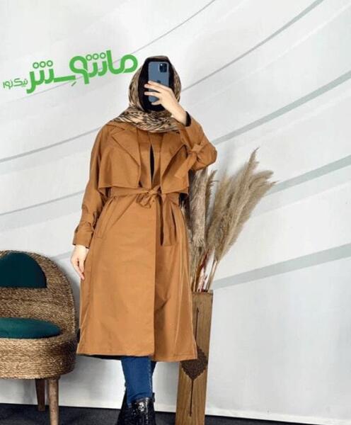 عکس پالتو ایرانی