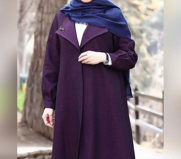 عکس پالتو ایرانی