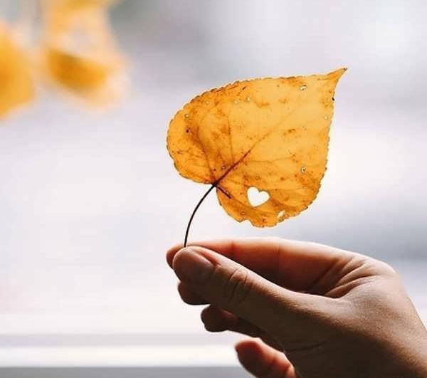 عکس دختر پاییزی برای پروفایل