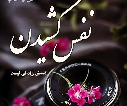 عکس پروفایل تیکه خاص