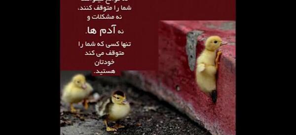 عکس نوشته آموزنده برای استوری واتساپ