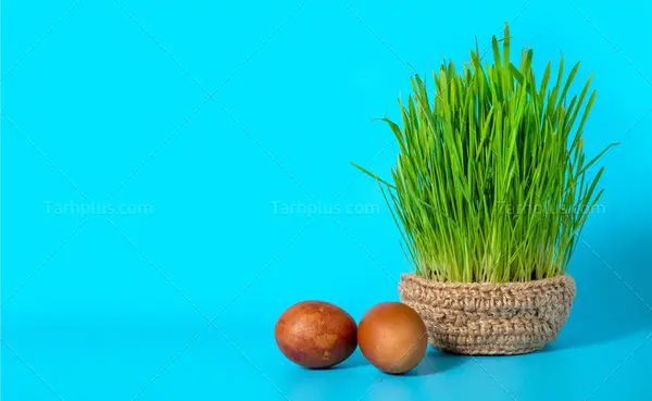 عکس پس زمینه نوروز
