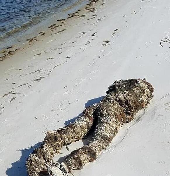 عکس دریا زشت