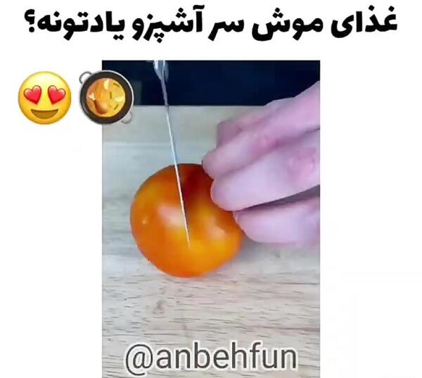 عکسهای غذای موش