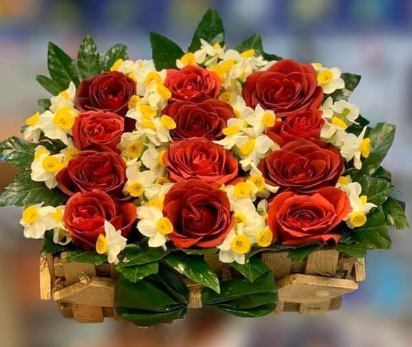 عکس گل نرگس رز