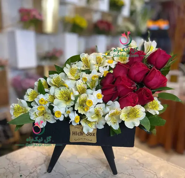 عکس گل نرگس رز