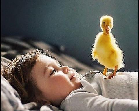 عکس شش دختر برای پروفایل گروه