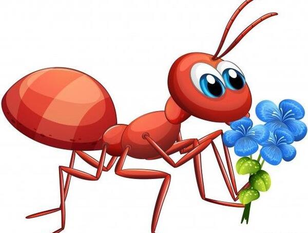 عکس نقاشی کارتونی مورچه
