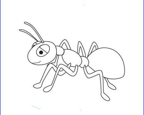 عکس نقاشی کارتونی مورچه