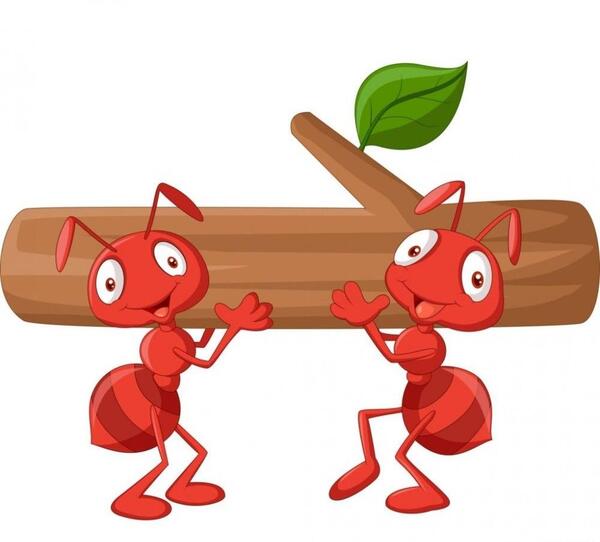 عکس نقاشی کارتونی مورچه