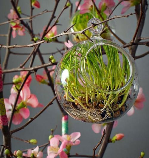 عکس ایده برای هفت سین سال گاو