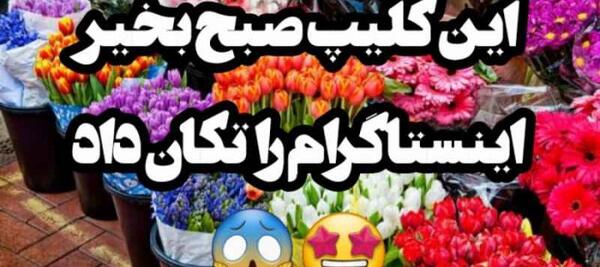 عکس تصاویر صبح بخیر با آهنگ
