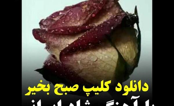 عکس تصاویر صبح بخیر با آهنگ