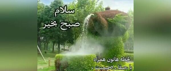 عکس تصاویر صبح بخیر با آهنگ