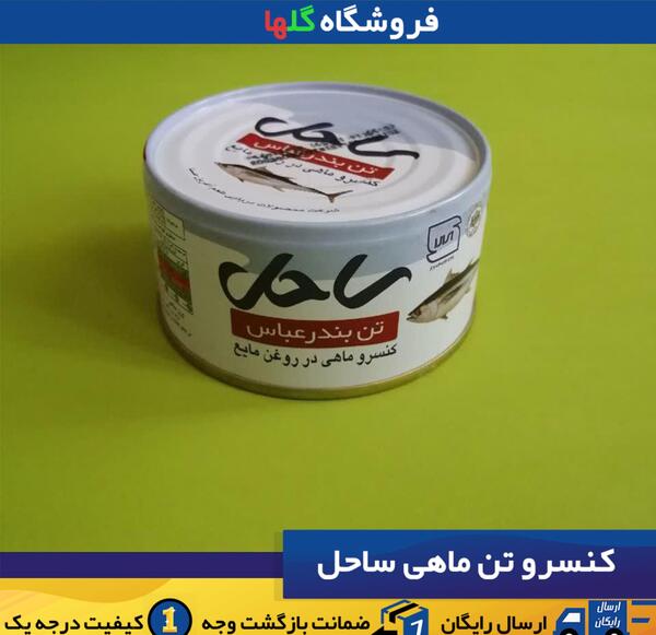 عکس تن ماهی ساحل