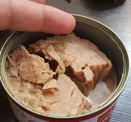عکس تن ماهی ساحل