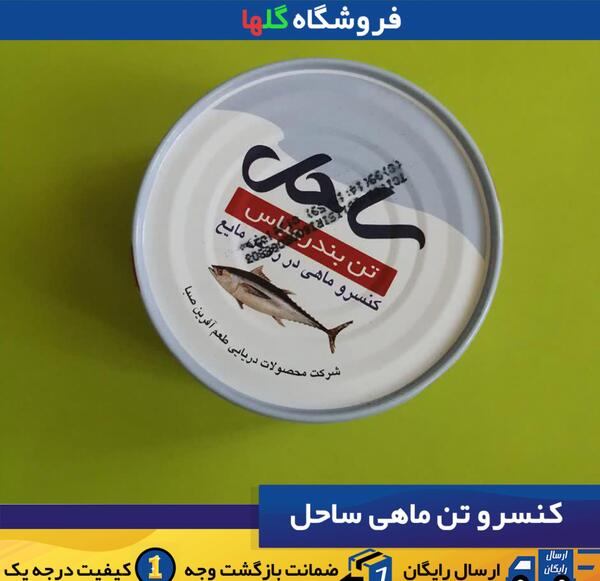 عکس تن ماهی ساحل