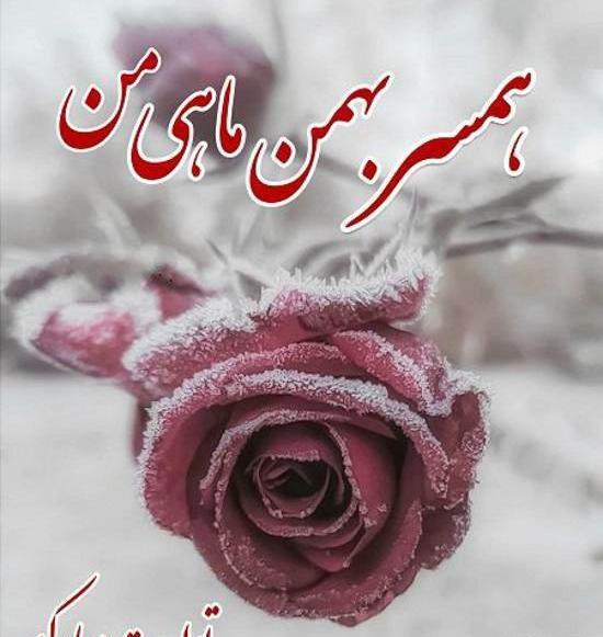 عکس زیبا برای بهمن ماهی ها