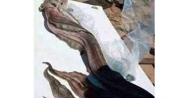 عکس پری دریایی متحرک