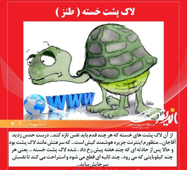 عکس لاک پشت جزیره کیش