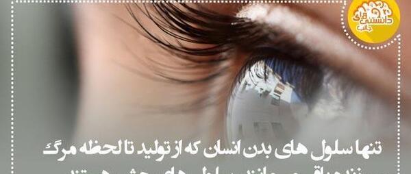 عکس جالب دانستنی