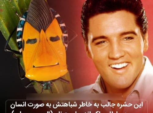 عکس جالب دانستنی