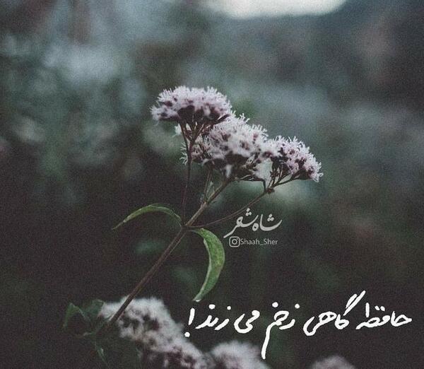عکس نوشته دوست دارم فراموشی بگیرم