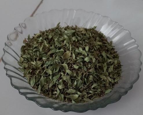 عکس تصویر آویشن کوهی