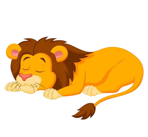 عکس خواب شیر