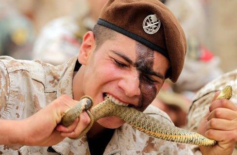 عکس مار خوردنی