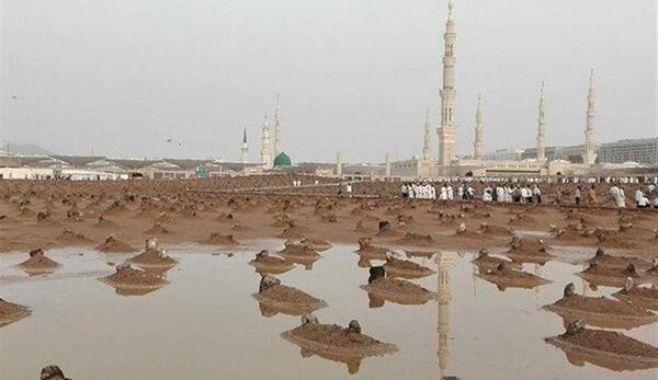 عکس غربت قبرستان بقیع