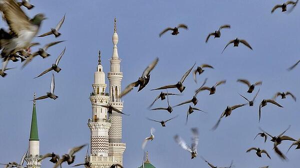عکس غربت قبرستان بقیع