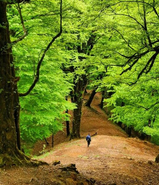 عکس های زیبا از شمال ایران