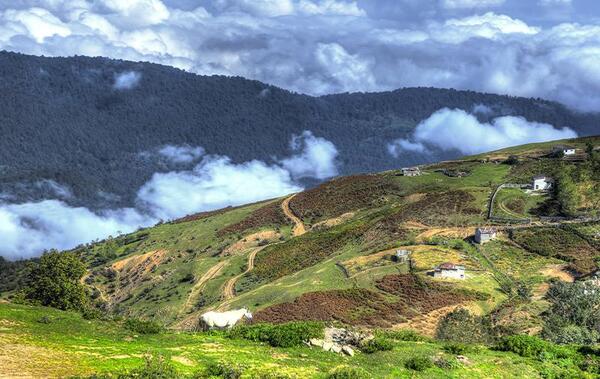 عکس روستای لیلی یادگار