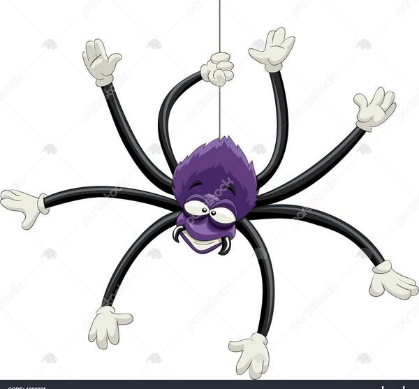عکس عنکبوت زشت