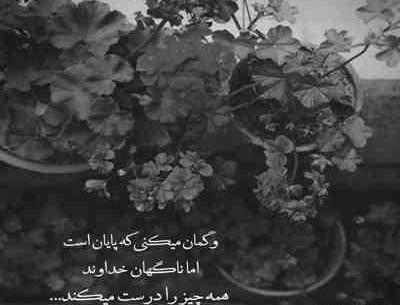 عکس حجت شاه نباتی