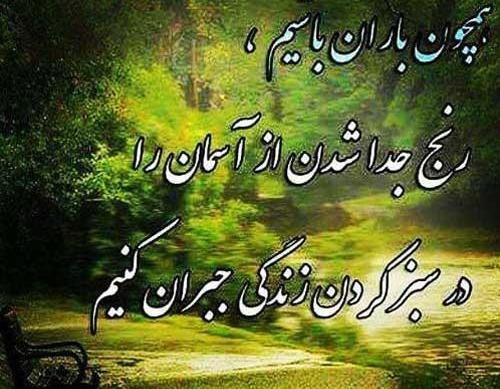 عکس نوشته دمش گرم باران را میگویم