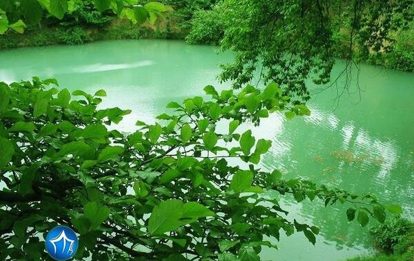 عکس از طبیعت گلستان